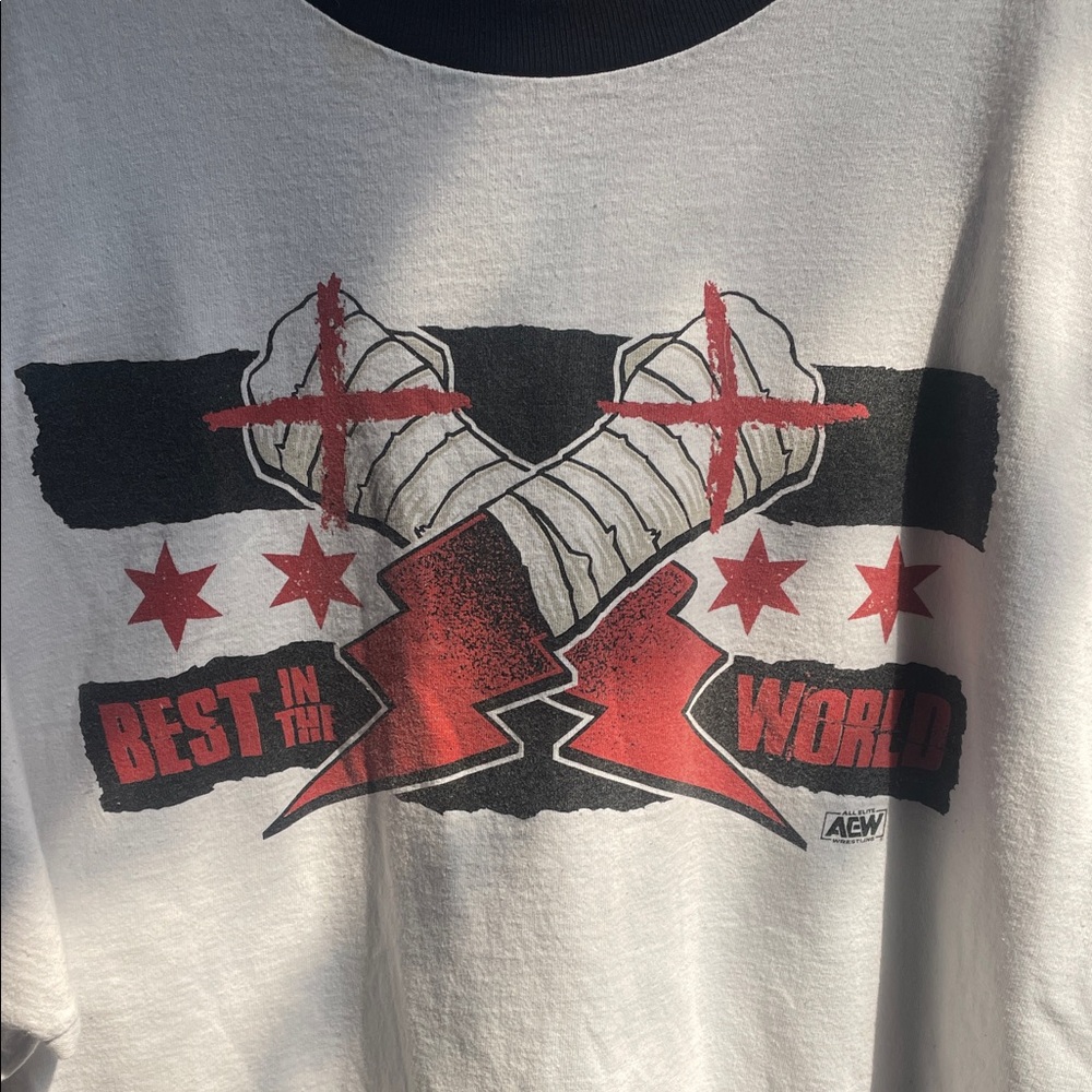 Vintage Best in the World Graphic Tee - All Elite Wresting 2XL
